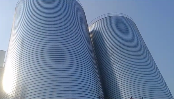 烈山2座混凝土高架卷板仓